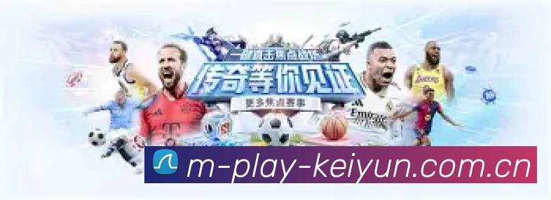 安全体系